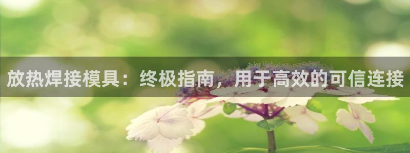 太阳成集团tyc234cc投资控股集团：放热焊接模具：终极指南，用于高效的可信连接
