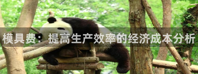 太阳集团城官方app：模具费：提高生产效率的经济成本分析