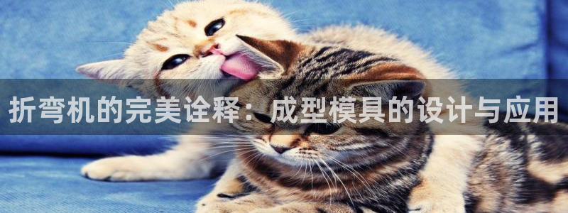 太阳成集团的官方网站：折弯机的完美诠释：成型模具的设计与应用