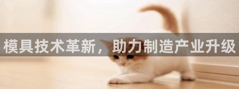 太阳集团娱乐官方网站下载