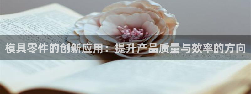 太阳集团网站：模具零件的创新应用：提升产品质量与效率的方向