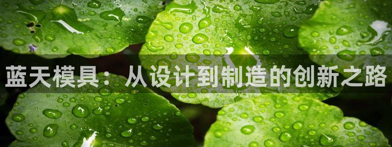 太阳gg是真的吗：蓝天模具：从设计到制造的创新之路