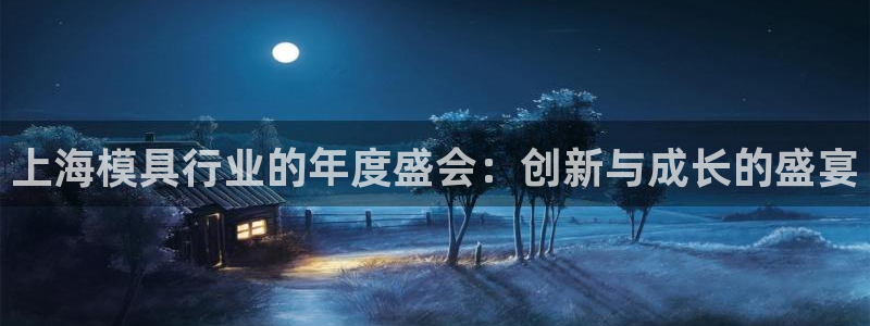 太阳成集团电影：上海模具行业的年度盛会：创新与成长的盛宴