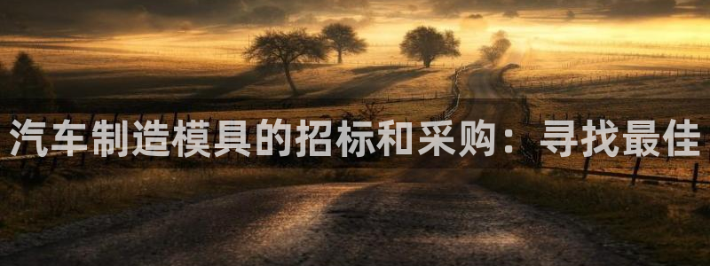 太阳诚集团视频：汽车制造模具的招标和采购：寻找最佳