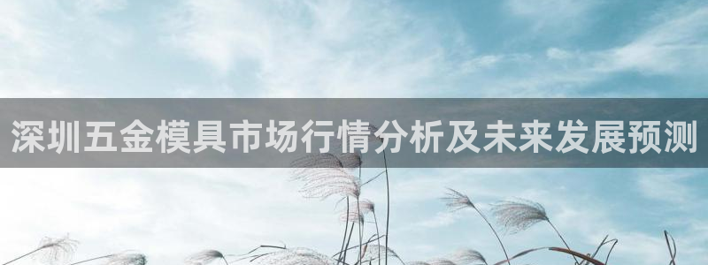 太阳集团官网导航首页：深圳五金模具市场行情分析及未来发展预测