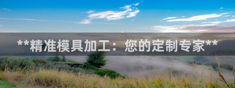 太阳成集团lougo图片：**精准模具加工：您的定制专家**