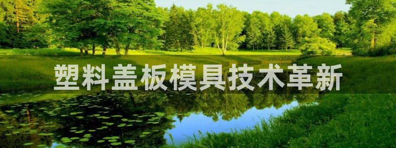 太阳成集团tyc234cc振兴：塑料盖板模具技术革新