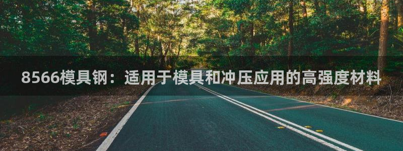 古天乐和太阳集团什么关系知乎：8566模具钢：适用于模具和冲压应用的高强度材料
