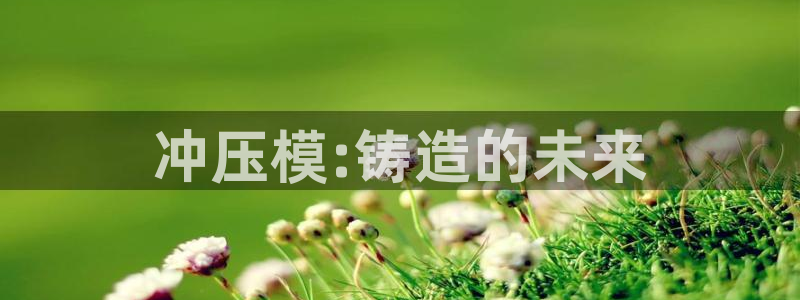 古天乐太阳集团广告：冲压模:铸造的未来