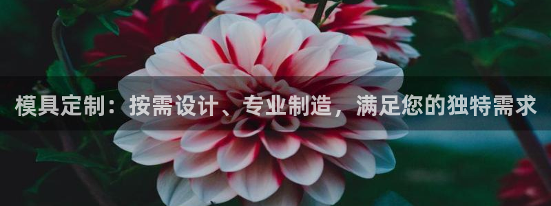 太阳集团电子游戏大全：模具定制：按需设计、专业制造，满足您的独特需求
