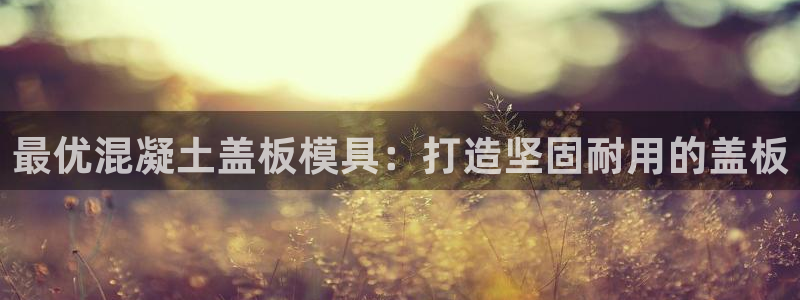 太阳集团2018网址：最优混凝土盖板模具：打造坚固耐用的盖板