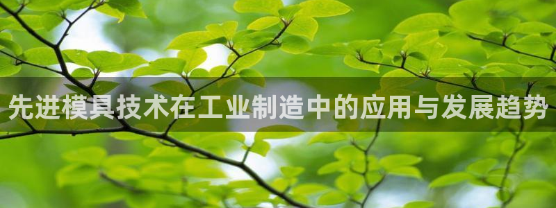 太阳成集团没有赌业吗：先进模具技术在工业制造中的应用与发展趋势