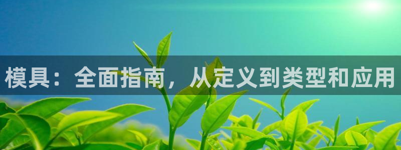 太阳电竞：模具：全面指南，从定义到类型和应用