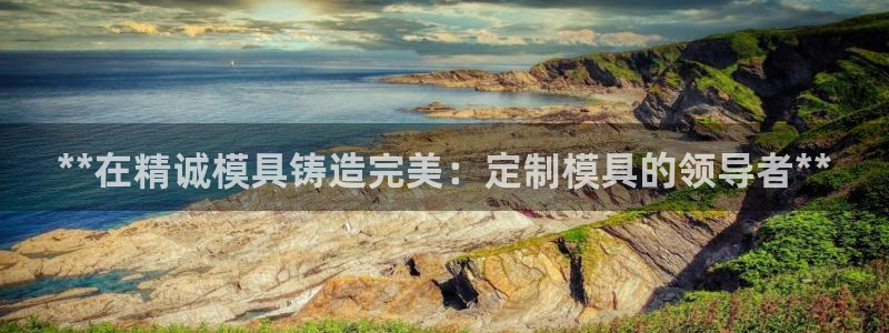 太阳游戏城：**在精诚模具铸造完美：定制模具的领导者**