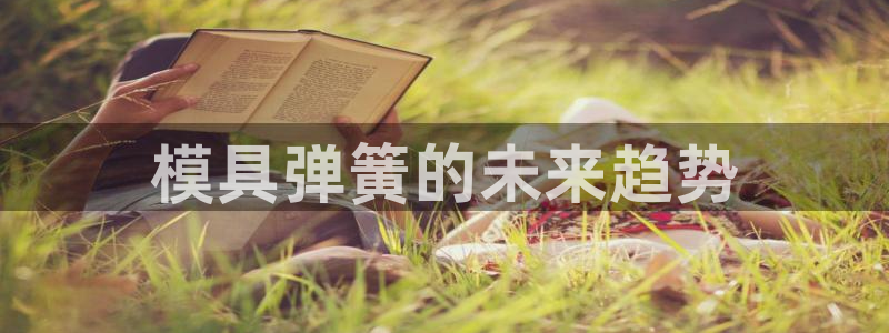 2003网站太阳集团：模具弹簧的未来趋势