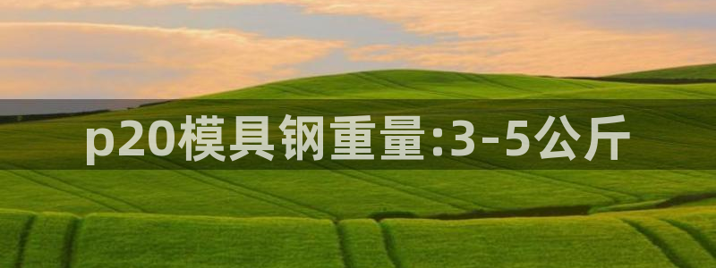 太阳成集团tyc7111cc的研发体系：p20模具钢重量:3-5公斤