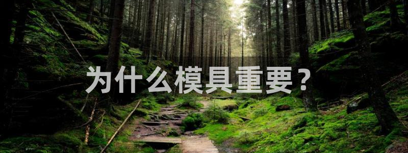 太阳gg在线测速登录：为什么模具重要？