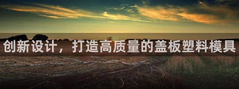 8827太阳集团官网：创新设计，打造高质量的盖板塑料模具