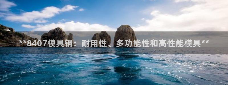 太阳成集团娱乐网站：**8407模具钢：耐用性、多功能性和高性能模具**