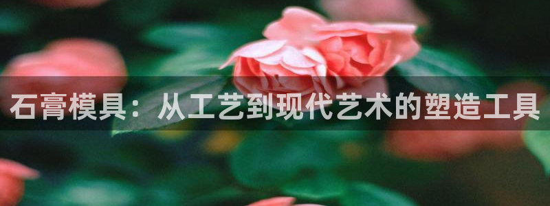 太阳游戏视频：石膏模具：从工艺到现代艺术的塑造工具