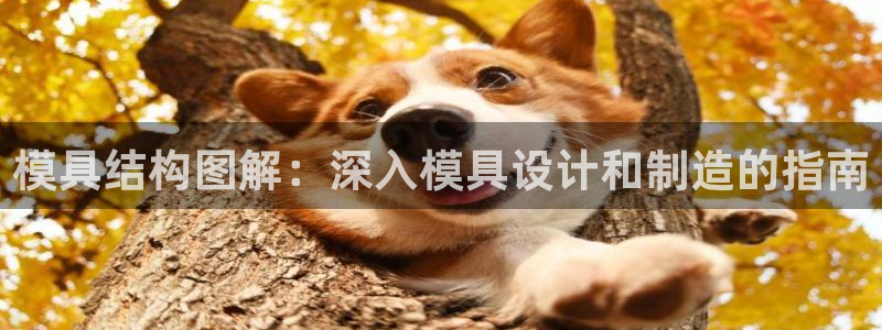 太阳诚集团有限公司有多少人：模具结构图解：深入模具设计和制造的指南