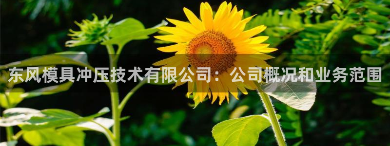 太阳阳城集团有限公司：东风模具冲压技术有限公司：公司概况和业务范围