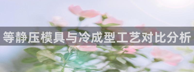 太阳集团游戏平台：等静压模具与冷成型工艺对比分析