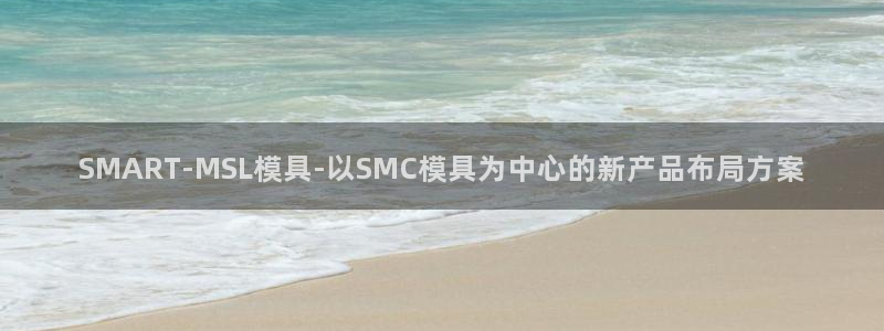 2003网站太阳集团：SMART-MSL模具-以SMC模具为中心的新产品布局方案