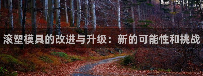 冷太阳什么意思：滚塑模具的改进与升级：新的可能性和挑战