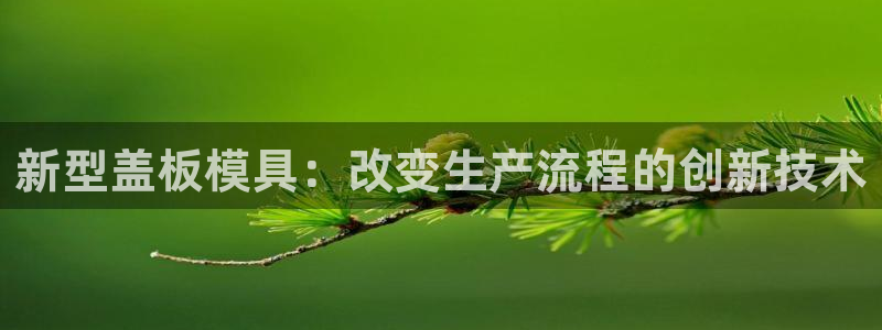 太阳成集团tyc234cc官网：新型盖板模具：改变生产流程的创新技术