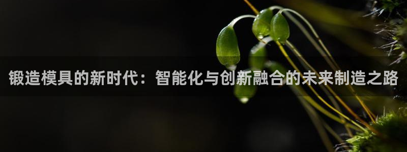 太阳集团旗下品牌：锻造模具的新时代：智能化与创新融合的未来制造之路