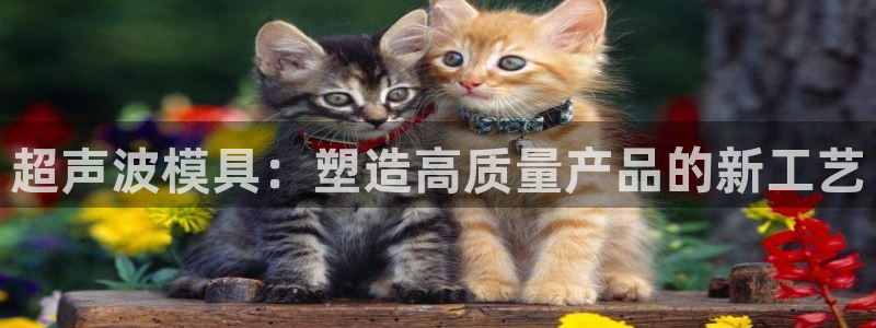 太阳集团tcy8722查封了：超声波模具：塑造高质量产品的新工艺