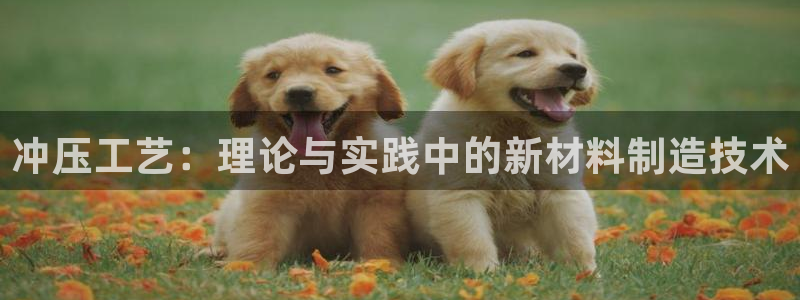 太阳gg平台地址：冲压工艺：理论与实践中的新材料制造技术