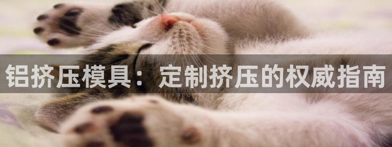 太阳成集团客服：铝挤压模具：定制挤压的权威指南