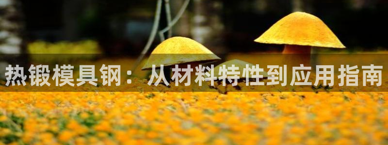 太阳集团娱乐所有网站app游戏优势：热锻模具钢：从材料特性到应用指南