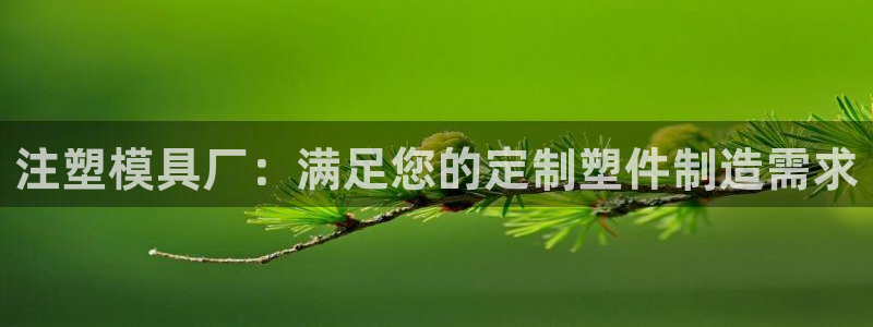 太阳集团股份有限公司：注塑模具厂：满足您的定制塑件制造需求