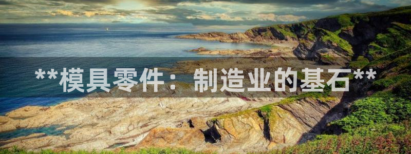 太阳成集团网址 app：**模具零件：制造业的基石**