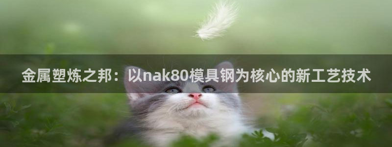 太阳集团董事长的儿子照片：金属塑炼之邦：以nak80模具钢为核心的新工艺技术