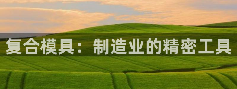 太阳1城集团网址查询：复合模具：制造业的精密工具