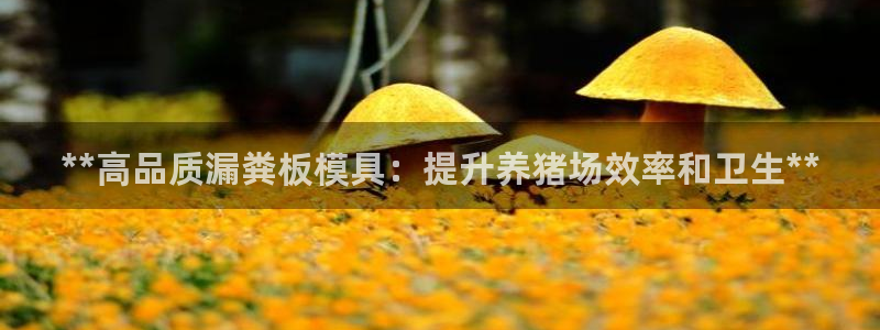 太阳2官方下载：**高品质漏粪板模具：提升养猪场效率和卫生**