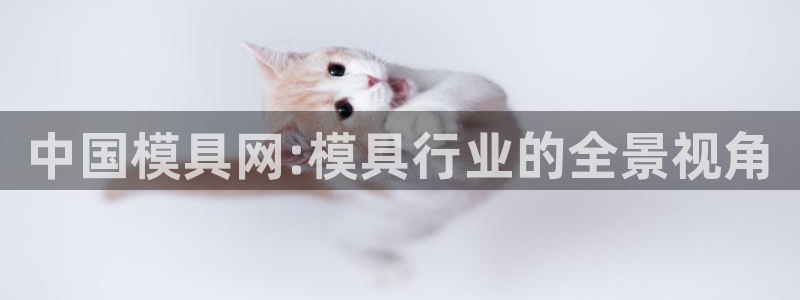 太阳集团所有网址16877官网：中国模具网:模具行业的全景视角
