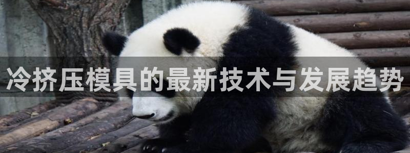 太阳诚集团有限公司地址：冷挤压模具的最新技术与发展趋势