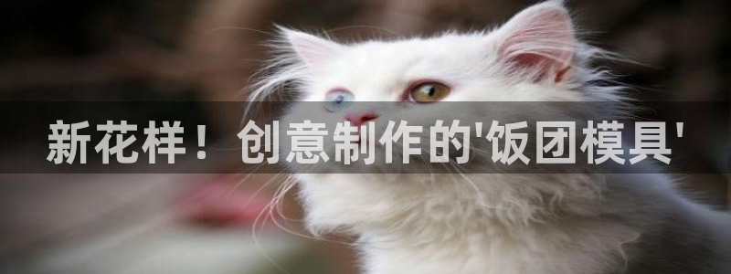 太阳集团高科技发展有限责任公司：新花样！创意制作的\'饭团模具\'