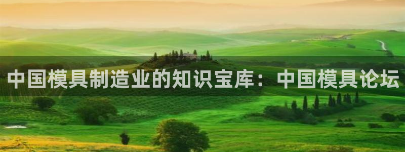 太阳gg登录：中国模具制造业的知识宝库：中国模具论坛