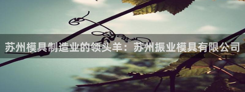 太阳成集团tyc234cc[主页]网：苏州模具制造业的领头羊：苏州振业模具有限公司