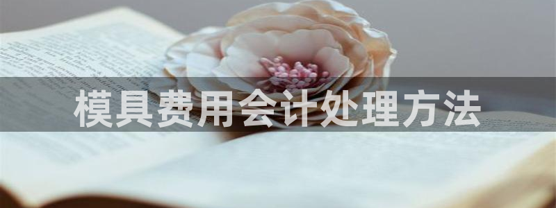 太阳成集团61999：模具费用会计处理方法