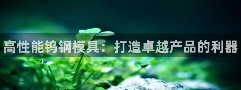 2003网站太阳集团
