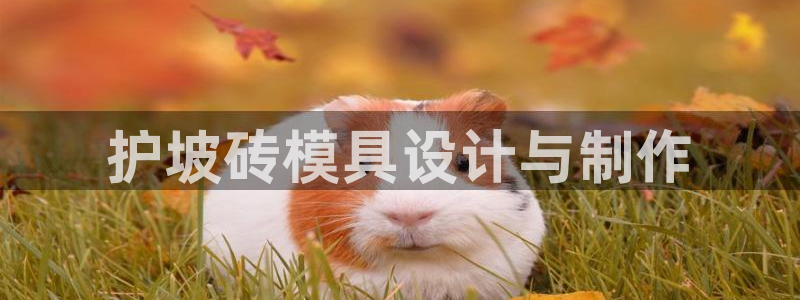 太阳gg在线测速登录：护坡砖模具设计与制作