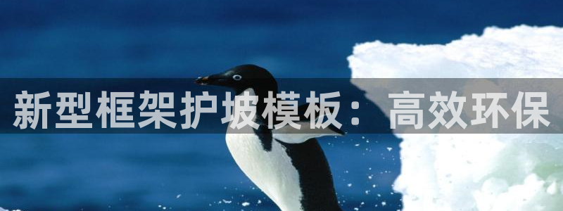 太阳成集团tyc122cc：新型框架护坡模板：高效环保