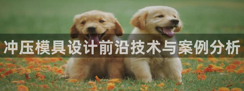 太阳集团董事长的儿子：冲压模具设计前沿技术与案例分析